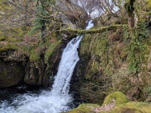 don't fall for large agency games