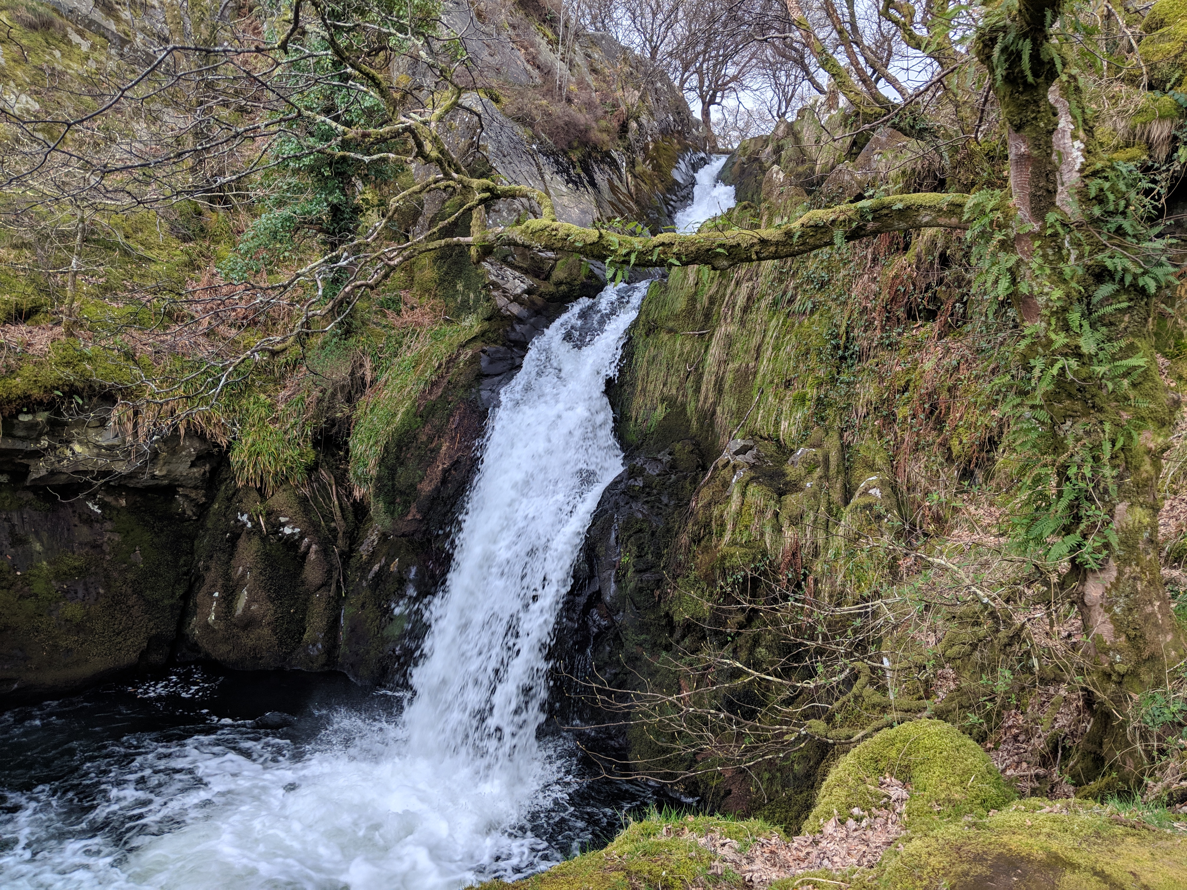 don't fall for large agency games