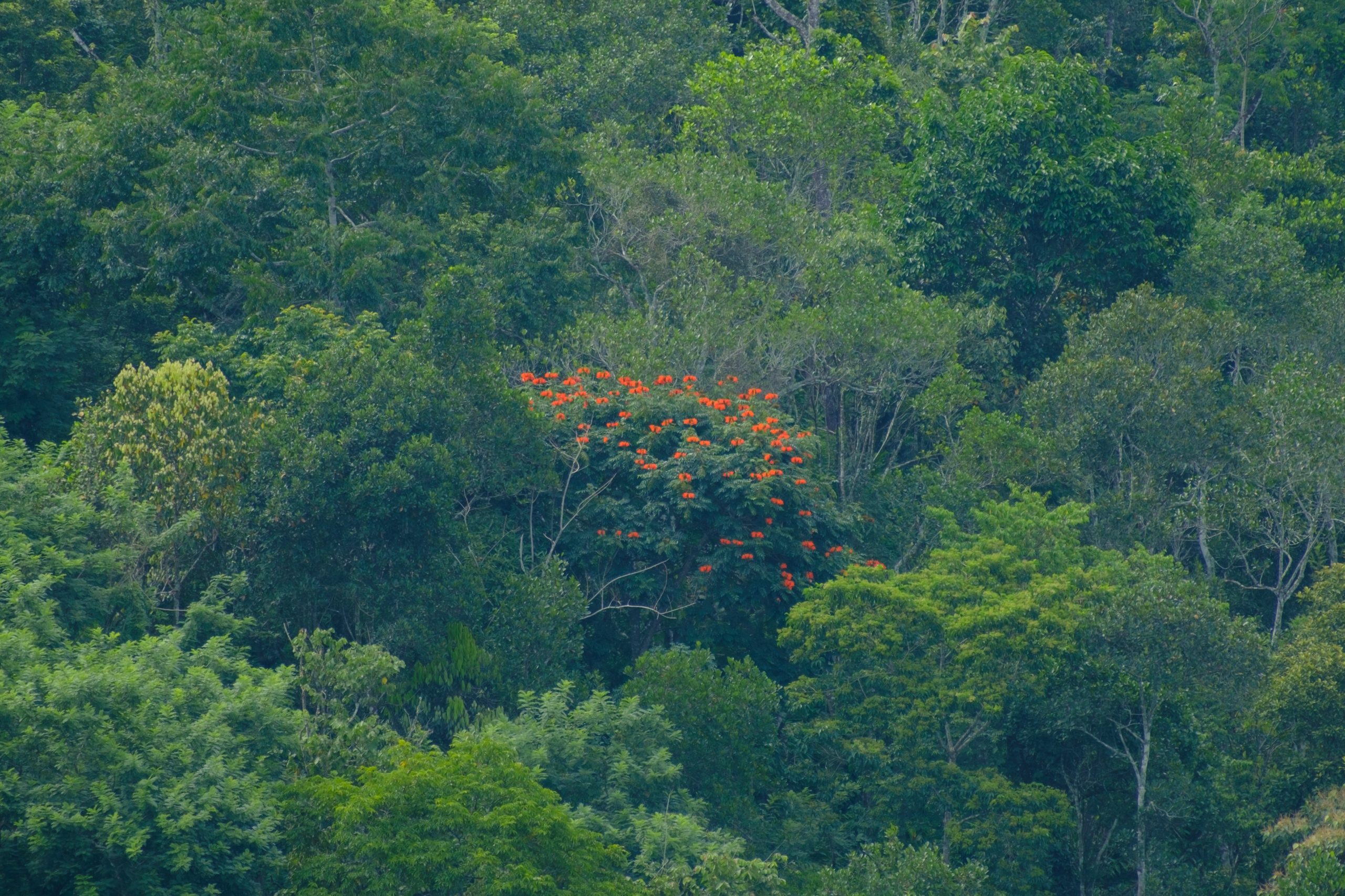 Stand Out from the Crowd: Define Your Value Proposition